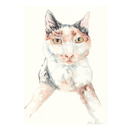 Look Into My Eyes Calico Cat Watercolor